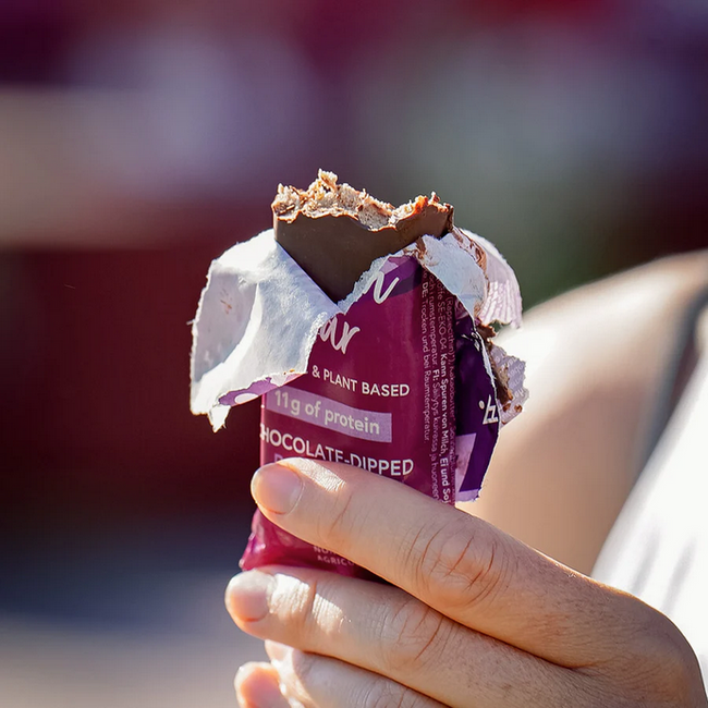Organic Protein Bars Chocolate-Dipped Mixbox 18-pack